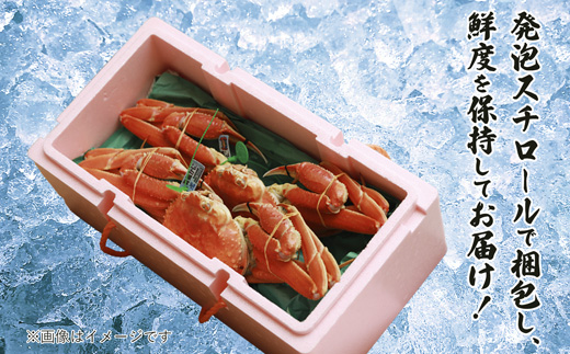 蟹 かに 松葉かに ズワイガニ ボイル 800g ~ 999g 緑タグ 舞鶴かに 国産 ブランド お鍋 お歳暮 贈答 プレゼント 高級 カニ ずわい蟹 松葉がに 茹で蟹 ゆで 年末 年始 新年 爪 脚