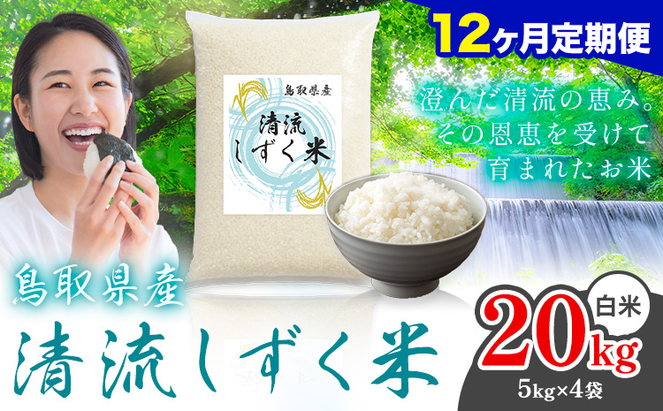 【12ヶ月定期便】鳥取 ふるさと 白米 20kg  清流しずく米《お申し込み月の翌月から出荷開始》鳥取県 八頭町 米 お米 ご飯 八頭 ふるさと 生活応援 ブレンド米 複数原料米 訳あり 小分け kome ご飯