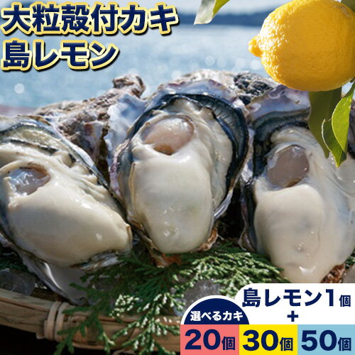 【ふるさと納税】【牡蠣-1 グランプリ受賞！】日生頭島大粒殻付き牡蠣「島のしずく」 ( 加熱用・選べる 20個 30個 50個 ) と「島レモン」《2026年1月上旬‐4月上旬頃より出荷予定》岡山県 備前市 牡蠣 かき　※島レモン収穫内容により「牡蠣2個」に変更の場合がございます。