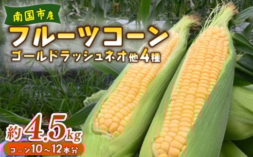 南国フルーツコーン イエロー種 4.5kg  | とうもろこし セット 国産 詰合せ 期間限定 数量限定 人気 高知県 南国市 農園けんぴ