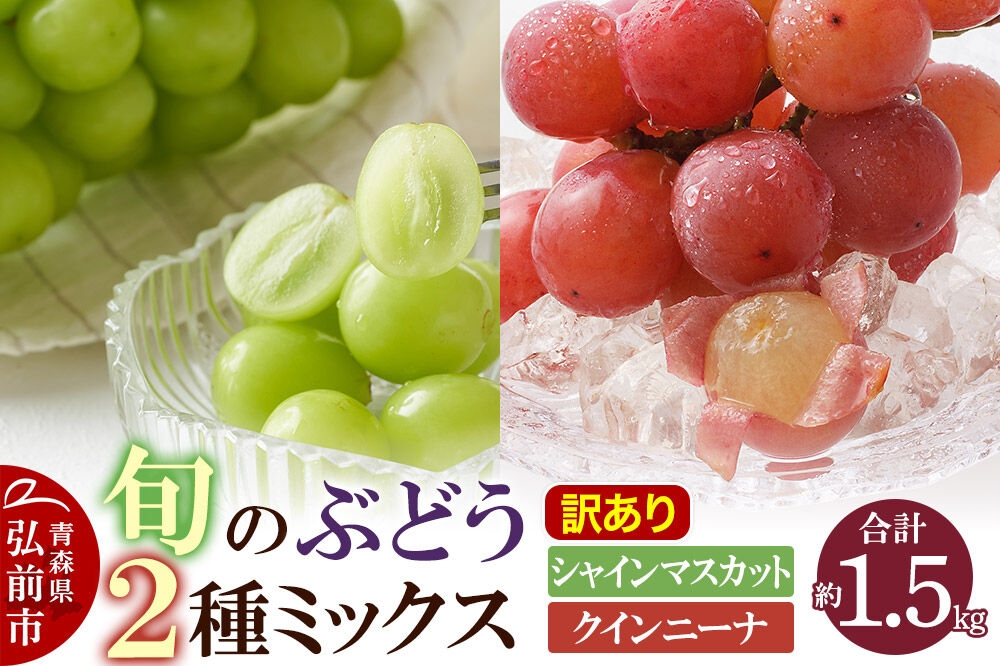 
                  【26年10月～発送】ぶどう【訳あり】旬のぶどう2種ミックス 約1.5kg（シャインマスカット、クインニーナ）まもる農園 青森県 弘前市 [葡萄 ブドウ 詰め合わせ セット]
                