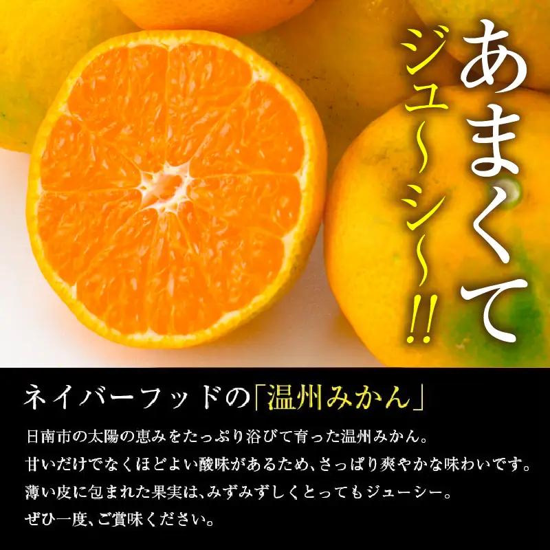 ネイバーフッド 温州みかん 計10kg以上 傷み補償分入り_CB121-26