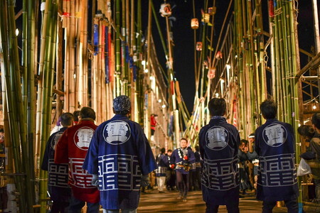 CV08_まくらがの里　ふるさと古河応援寄附金30,000円【返礼品なし】