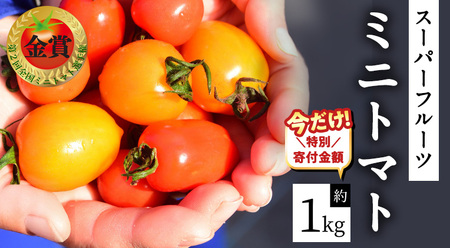 【12/31ご寄附分まで特別寄附額】 スーパーフルーツ ミニトマト 約1kg 2025年2月上旬発送開始 ミニトマト フルーツトマト ブランドトマト トマト とまと 野菜 [BC070sa]