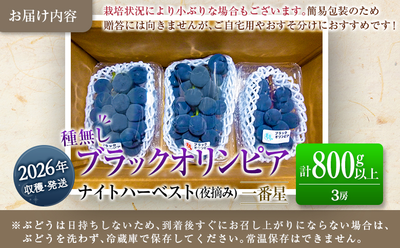 先行予約 旬の朝採り種なし葡萄［ブラックオリンピア（一番星）］合計800g以上（3房）ご自宅・ご家庭用 2025年出荷【B646】
