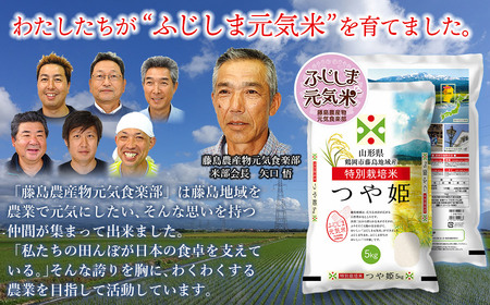【令和7年産】【6ヶ月定期便】特別栽培つや姫 ふじしま元気米 精米 10kg(5kg×2袋)×6回 【毎月発送】合計60kg