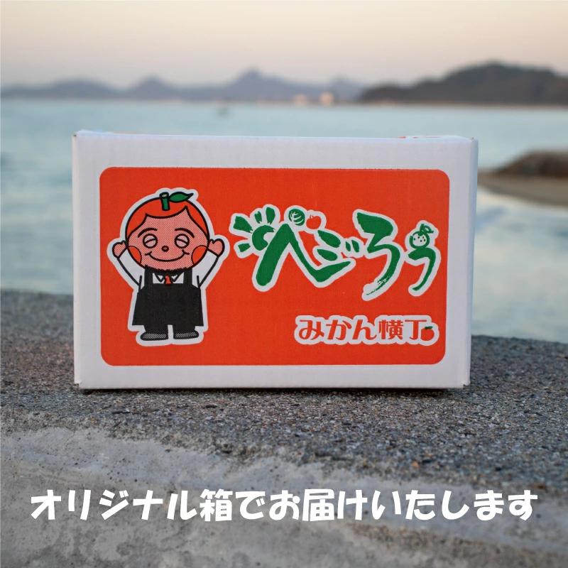 【先行予約】【2025年11月下旬以降順次発送】数量限定 紅まどんな 家庭用 オリジナル箱 〇等級 5玉?8玉 ベニマドンナ べにまどんな 愛媛県 松山市