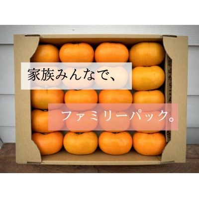 ご家族みなさんでお楽しみいただける大容量パックでどうぞ!