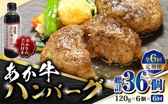 
                  【全6回定期便】あか牛 100％ハンバーグ セット 120g×6個【有限会社 三協畜産】 赤身 赤牛 褐牛 あかうし 褐毛和種  冷凍 国産 牛肉  [ZEB066]
                