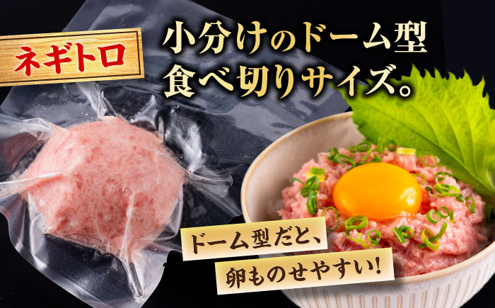 ネギトロ 約80g×12パック＋マグロの漬け 約80g×12パック 【興洋フリーズ株式会社】 [ATBX052]