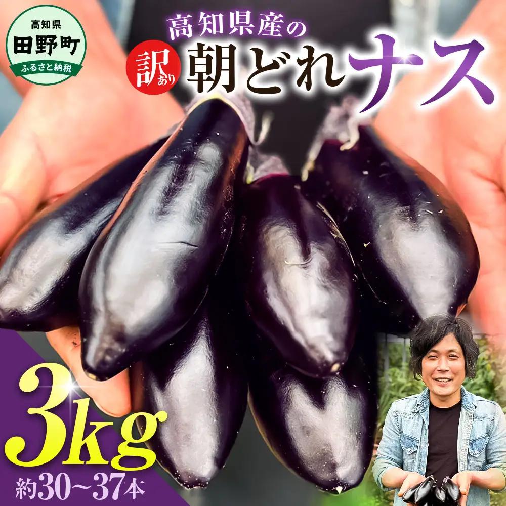 訳あり高知県産の朝どれナス 3kg 茄子 なす 新鮮 朝採れ 野菜 夏野菜 柔らかい 甘い おいしい 生鮮食品 食品 食べ物 浅漬け 煮浸し 国産 お取り寄せ