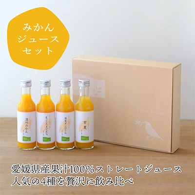 【毎月定期便】おいしい愛媛みかんを使用!こだわりのみかん加工品定期便全3回【G25−153】【4012887】