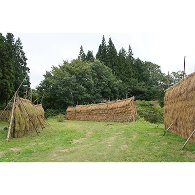 ふるさと納税 阿賀町 黒米・黒米野草茶3種・薬膳五穀米のセット |  | 02