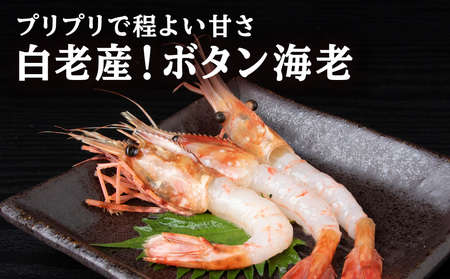 ぼたん海老 北海道 虎杖浜産 約400g AA031