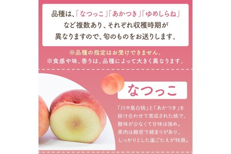 桃／フルーツ【先行予約／数量限定100】京都丹後産 桃 約2kg（6～8玉）（2025年7月中旬～発送）＜旬のおすすめ品種をお届け＞旬の桃・桃ギフト・もも・モモ・果物