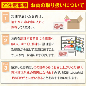 K-373-B かごしま味わい黒豚 とんかつ用ロース肉・トロかつ(計1.2kg)【KNOT】霧島市 ロース トンカツ 豚カツ トンテキ 豚肉 国産 鹿児島県産 肉 精肉 小分け