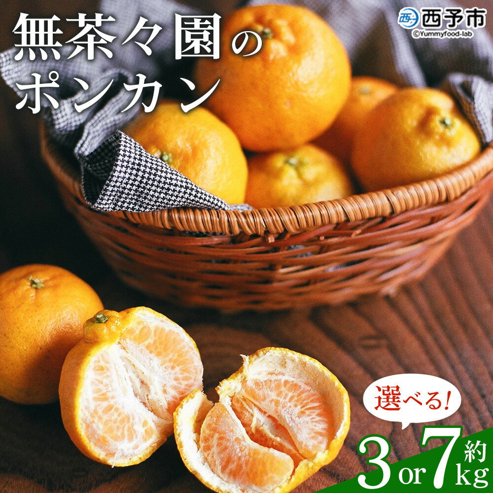 【ふるさと納税】先行予約 ＜無茶々園のポンカン 約3kg／7kg＞ 果物 くだもの フルーツ 選べる内容量 ぽんかん みかん 蜜柑 柑橘類 かんきつ 旬 甘い 濃厚 新鮮 期間限定 季節限定 産地直送 特産品 愛媛県 西予市 【常温】『2026年1月～2月に順次出荷予定』