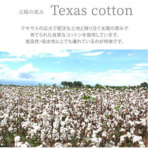 ＜シングル＞太陽の恵み テキサスコットンタオルケット(140×190cm)　SNT-20TX-GR
