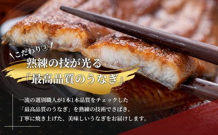 うなぎ 浜名湖産 鰻蒲焼き2本入×2箱セット