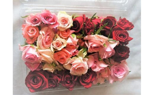 生花フラワーシャワーパック１パック　赤・ピンク系中心