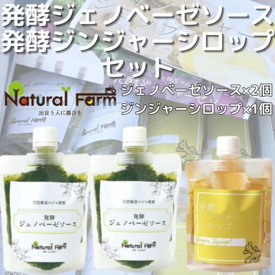 ふるさと納税 枕崎市 発酵ジェノベーゼソース×発酵ジンジャーシロップA5-14
