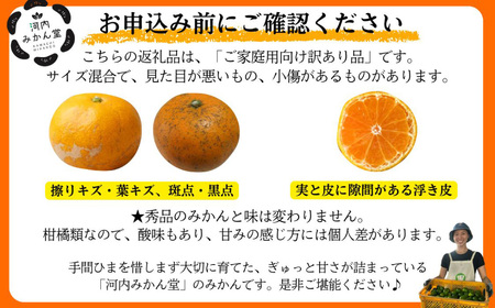 ＜ R8年熊本地震復興支援 ＞【訳アリ】「河内みかん堂」のみかん4kg＋傷み補償付き（家庭用）【2026年11月上旬～2027年2月上旬まで発送予定】