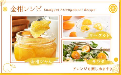 KU446 【訳あり】完熟きんかん１kg 【玉様ファーム】