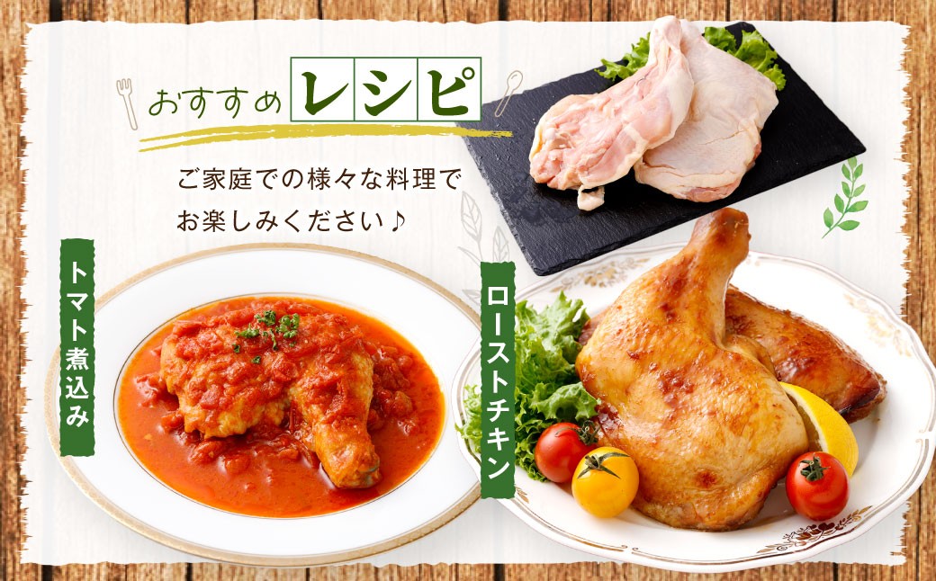 鹿児島県産 骨付きもも 10本セット