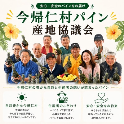 【2026年5月中旬から順次発送】今帰仁村パイン産地協議会 ポコットパイン2.4kg(3～5玉)【配送不可地域：離島】
