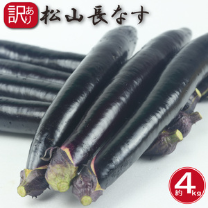 訳あり 松山長なす 約4kg | なすなすなすなすなすなすなすなす 【VEG070】