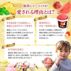 限界シャーベット 6個セット J06018