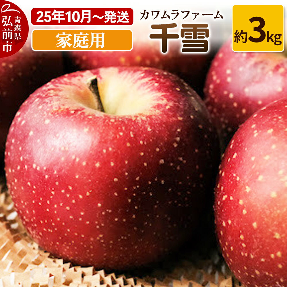 【ふるさと納税】【レビューキャンペーン】【25年10月〜発送】りんご 千雪 約3kg カワムラファーム 家庭用【先行受付】 青森 果物 フルーツ 林檎 リンゴ くだもの 予約