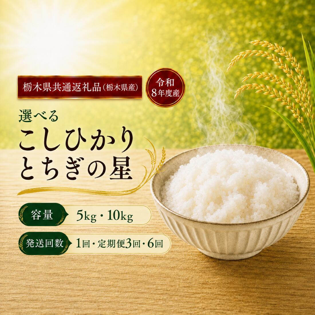 【ふるさと納税】米 令和8年産 こしひかり とちぎの星 選べる 5kg 10kg 定期便 栃木県産米 ｜ 米 お米 こめ kome 白米 ご飯 精米 米 こめ 国産 ふるさと納税 米 5kg ふるさと納税 米 10kgふるさと納税米 ふるさと納税 とちぎの星 真岡市 【栃木県共通返礼品 栃木県産】