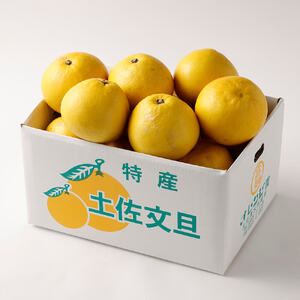＜訳あり＞オレンジ園の土佐文旦５kg  柑橘 フルーツ ミカン みかん 蜜柑 ザボン ぶんたん ブンタン 果物 くだもの 果汁 おやつ デザート 食品 甘い 酸味【R01085】