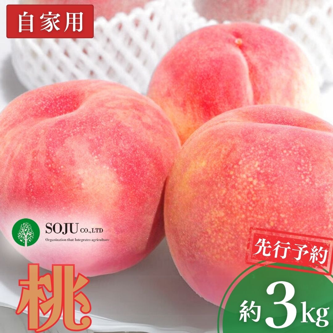 【ふるさと納税】先行予約 桃 自家用 約3kg 令和8年度 新潟県 三条市産 もも [三条果樹専門家集団] 【010P044】