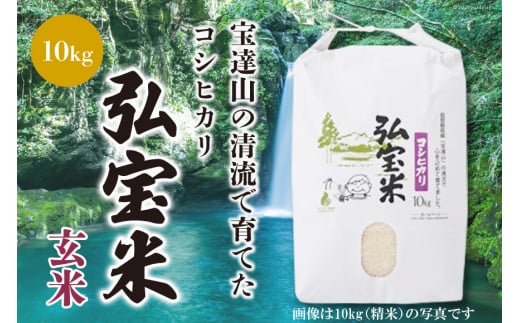 【期間限定発送】 米 コシヒカリ 「弘宝米」 玄米 10kg [中西農場 石川県 宝達志水町 38600982] お米 こしひかり 美味しい 農家 直送 10キロ 石川 能登