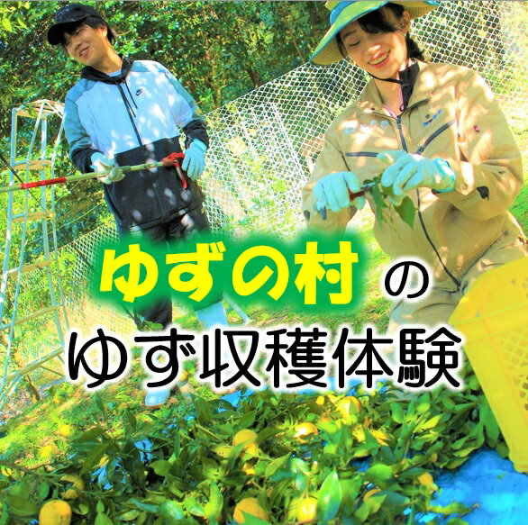 【ふるさと納税】ゆずの村馬路村でゆず収穫&ゆずしぼり体験 お土産付き 柚子狩り 田舎体験 高知県 馬路村 【548】