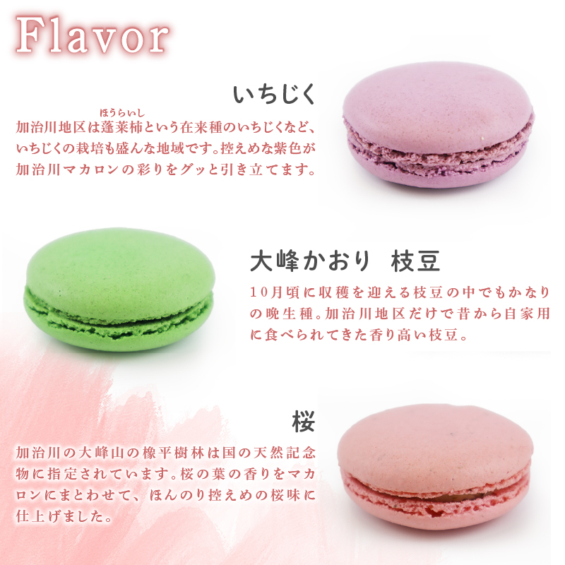 マカロン 1セット イチジク 枝豆 桜 苺 はちみつ レモン いちご えだまめ 洋菓子 菓子 お菓子 スイーツ 甘味 ギフト プレゼント お土産 新潟県 新発田市 sinpo002