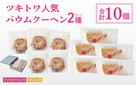 バームクーヘン グルテンフリー ミニ 「プレーン」と「アップル」 詰め合わせ 10個 セット | バウムクーヘン 米粉 ギフト ツキトワ