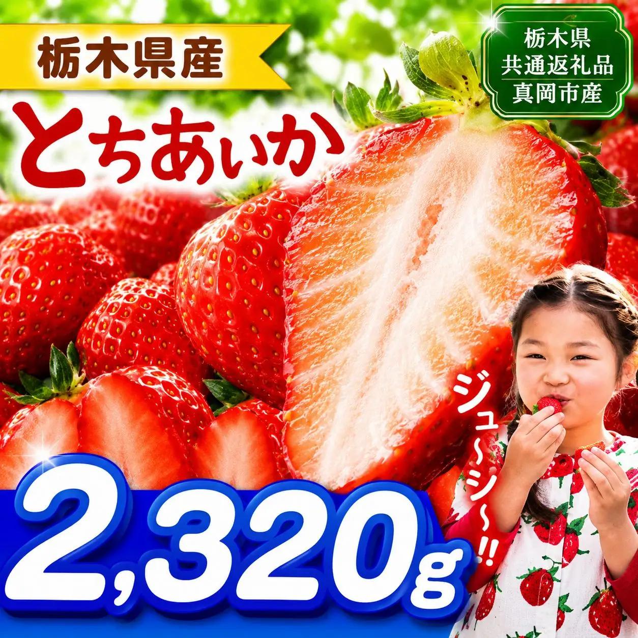 【栃木県共通返礼品】【先行予約】とちあいか 2320g |  栃木県 那珂川町 