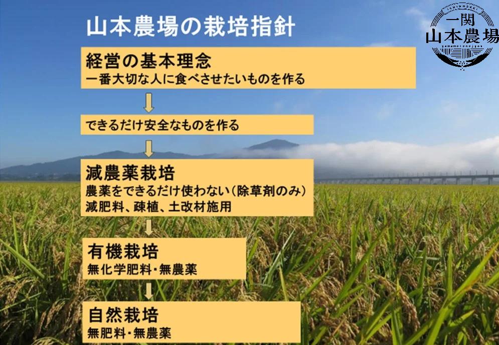 荷姿