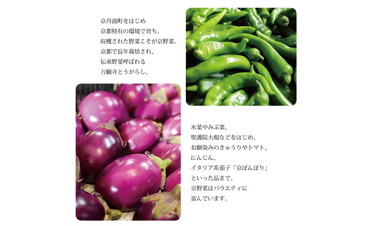 【3回定期便】旬の京野菜　毎月お届けレギュラーコース（全3回） 《野菜定期便 野菜詰め合わせ 野菜セット 京野菜 旬の野菜 新鮮野菜 有機野菜 減農薬》 ※沖縄・その他離島は配送不可 [033KH00