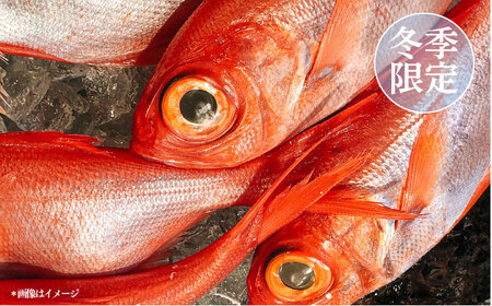 【冬季限定】下ごしらえ済 キンメダイ 約500〜800g 鮮魚 処理済み 下処理済み【長井水産株式会社】[AKAJ029]