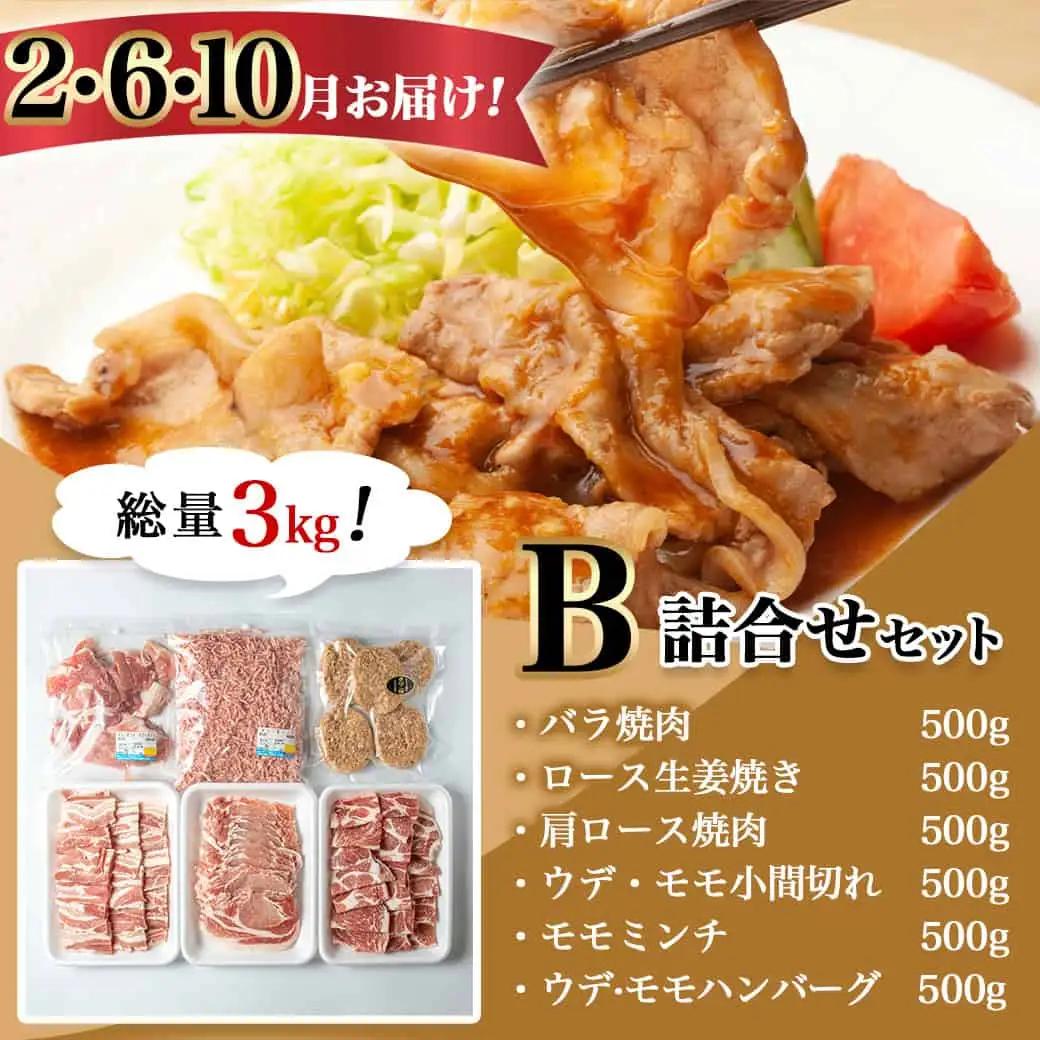 「きなこ豚」バラエティ定期便(10ヶ月)〔T120（10）-1202〕_(都城市) 宮崎県産豚肉 都城産きなこ豚 豚バラ ロース 肩ロース ウデ・モモ ミンチ ハンバーグ 小間切れ しゃぶしゃぶ とん