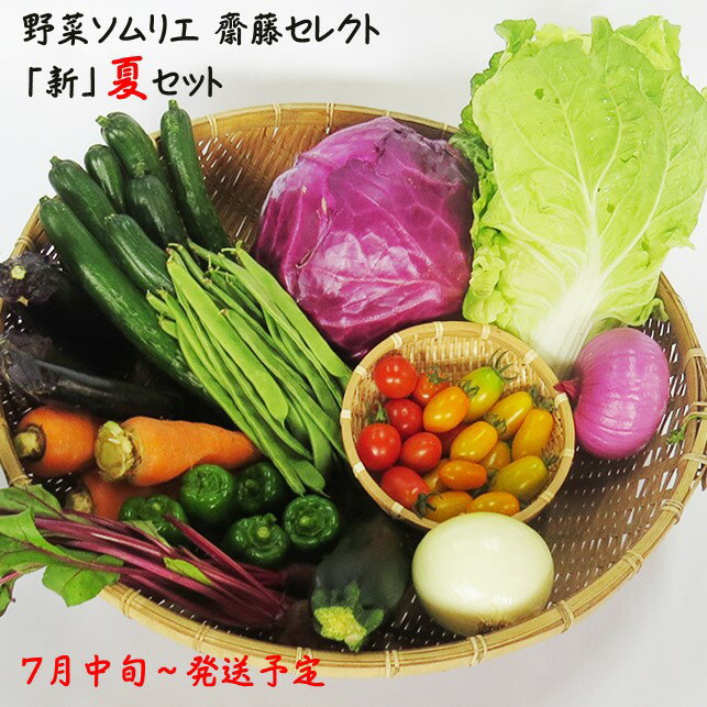 【ふるさと納税】【 2025年 7月〜発送 予約受付 】野菜 ソムリエ 齋藤セレクト「新」夏 野菜 7種 以上 セット 国産 岩手 旬 野菜セット 詰め合わせ 岩手県 北上市 B0317 齋藤 智仁 ミニトマト たまねぎ にんじん ナス ピーマン キャベツ ズッキーニ えだまめ とうもろこし