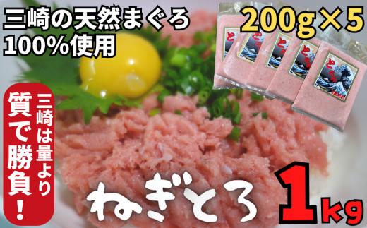 B14-029 【防腐剤、着色料不使用】自家製とろみ（ねぎとろ用）合計1キロ！本物の味をお届け！他と味を比べてみて！