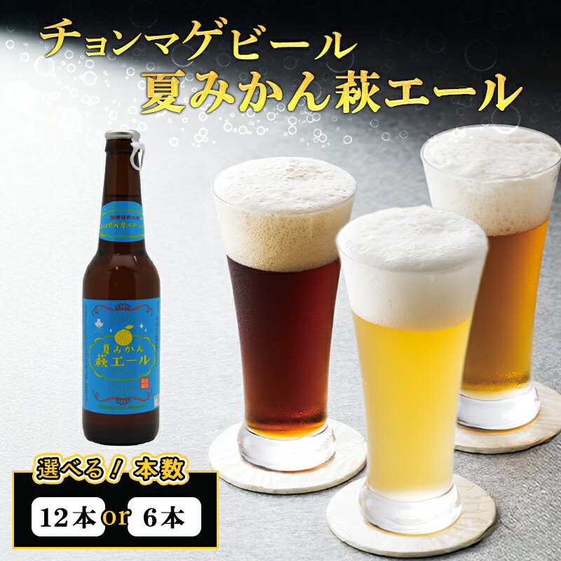 【ふるさと納税】【選べる！】城下町・萩の地ビール／夏みかん萩エール