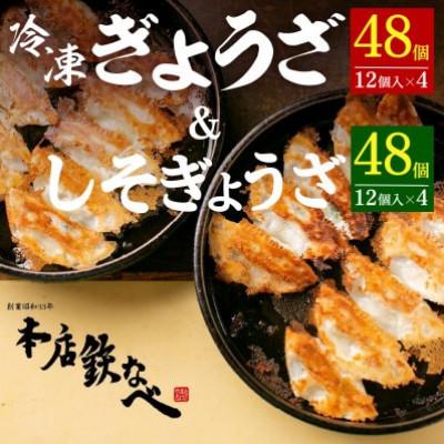 ふるさと納税 中間市 【毎月定期便】本店鉄なべの冷凍ぎょうざ48個入り+冷凍しそぎょうざ48個入り全6回