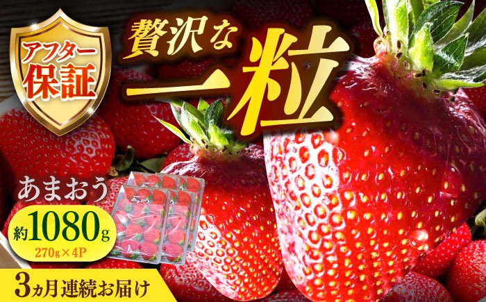 【先行予約】【全3回定期便】農家直送 朝どり新鮮いちご【博多あまおう】約270g×4パック【2027年2月以降順次発送】《築上町》【株式会社H&Futures】[ABDG006]