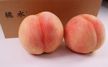 ☆フルーツ王国山形☆ 白桃(桃水) 秀品 2kg [かたい桃]【令和8年産先行予約】FS23-831 くだもの 果物 フルーツ 山形 山形県 山形市 2026年産